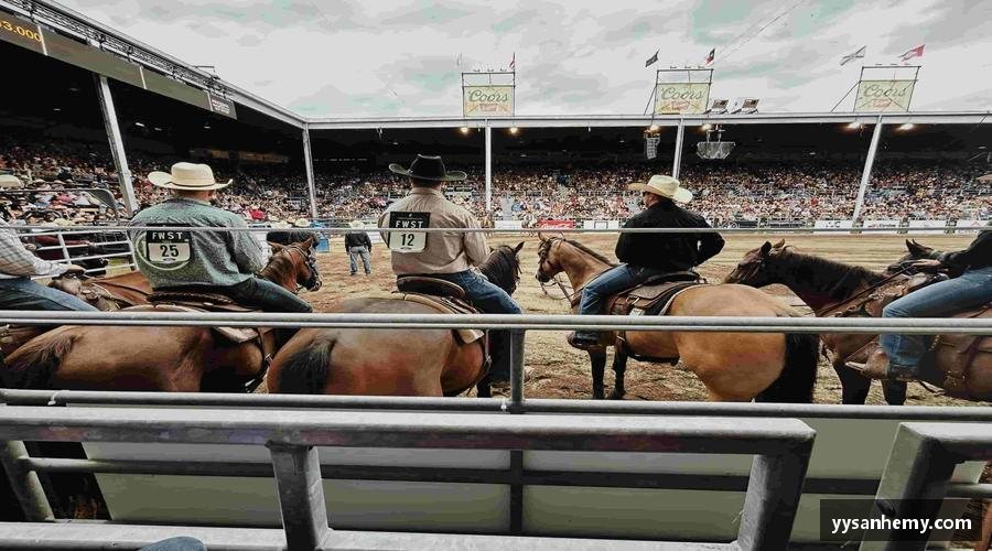 333官方网站体育正品保障，收藏热爱！💎